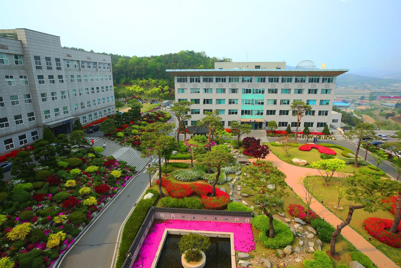 Đại học Seojeong – Kỳ thu 2024