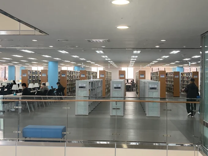 D4-1 ĐẠI HỌC NGOẠI NGỮ BUSAN (TOP 1%)